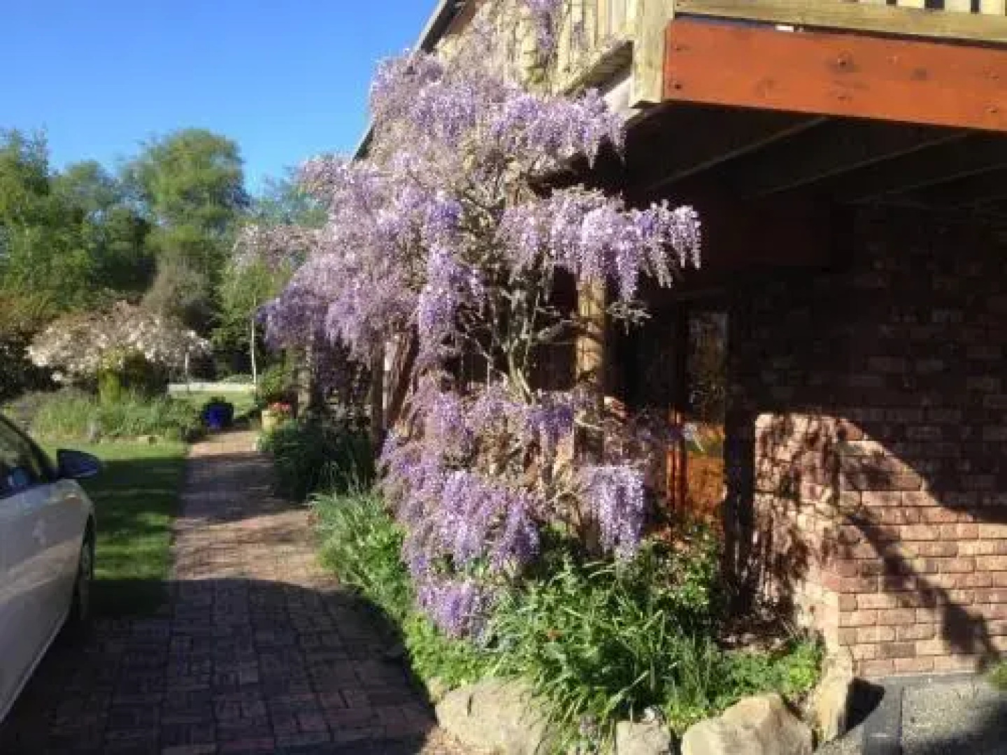 Wisteria Lodge Bed and Breakfast