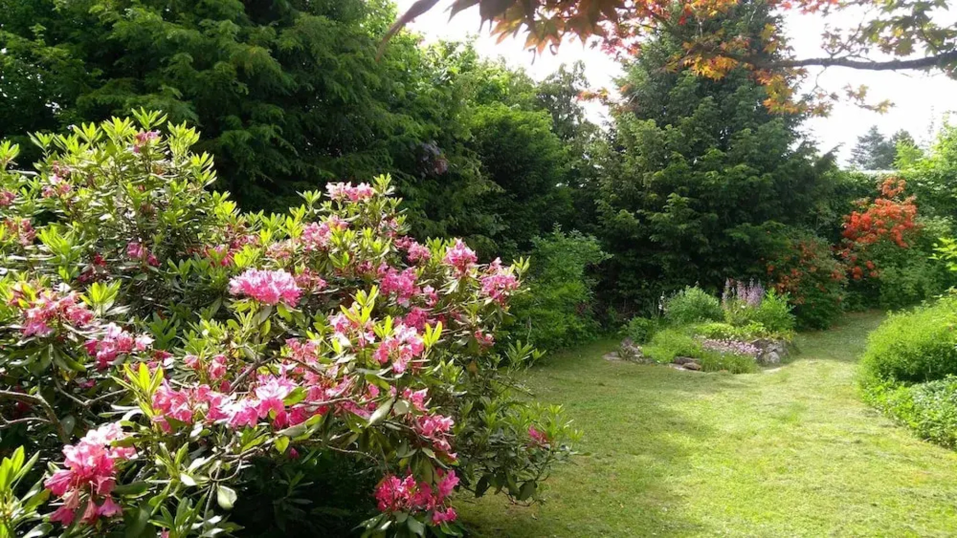 Ferienhaus Sine Tempo