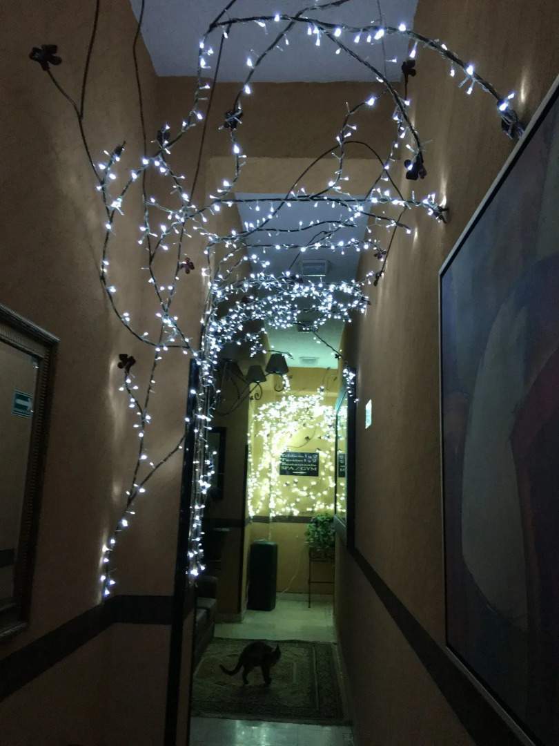 Villas y Suites Paraiso del Sur