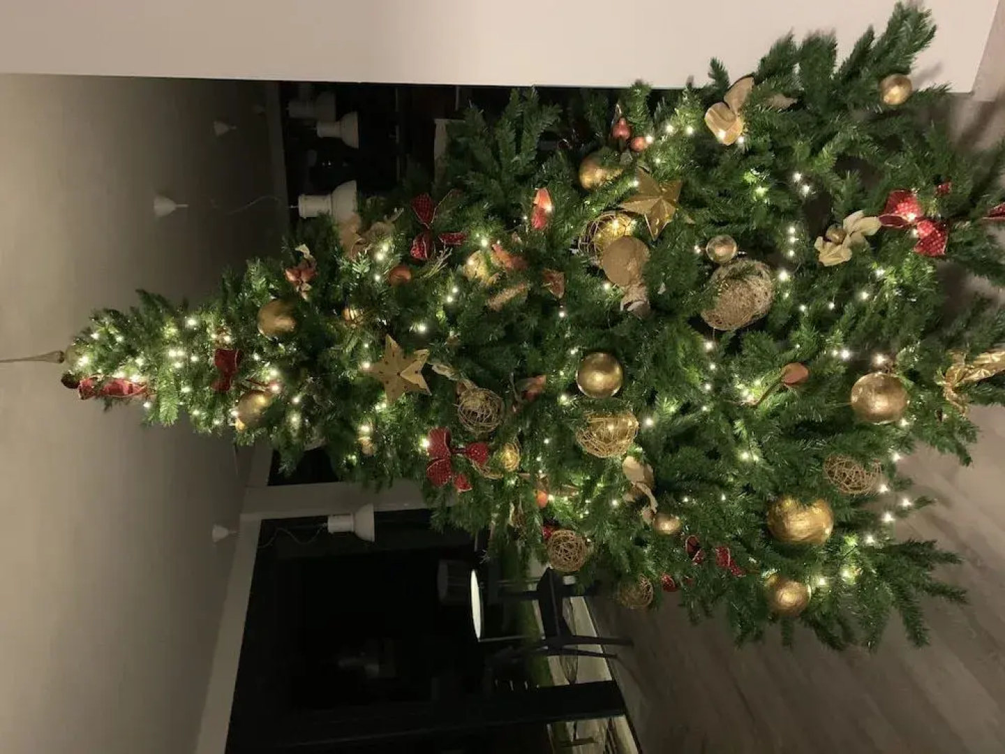 Casa Ester
