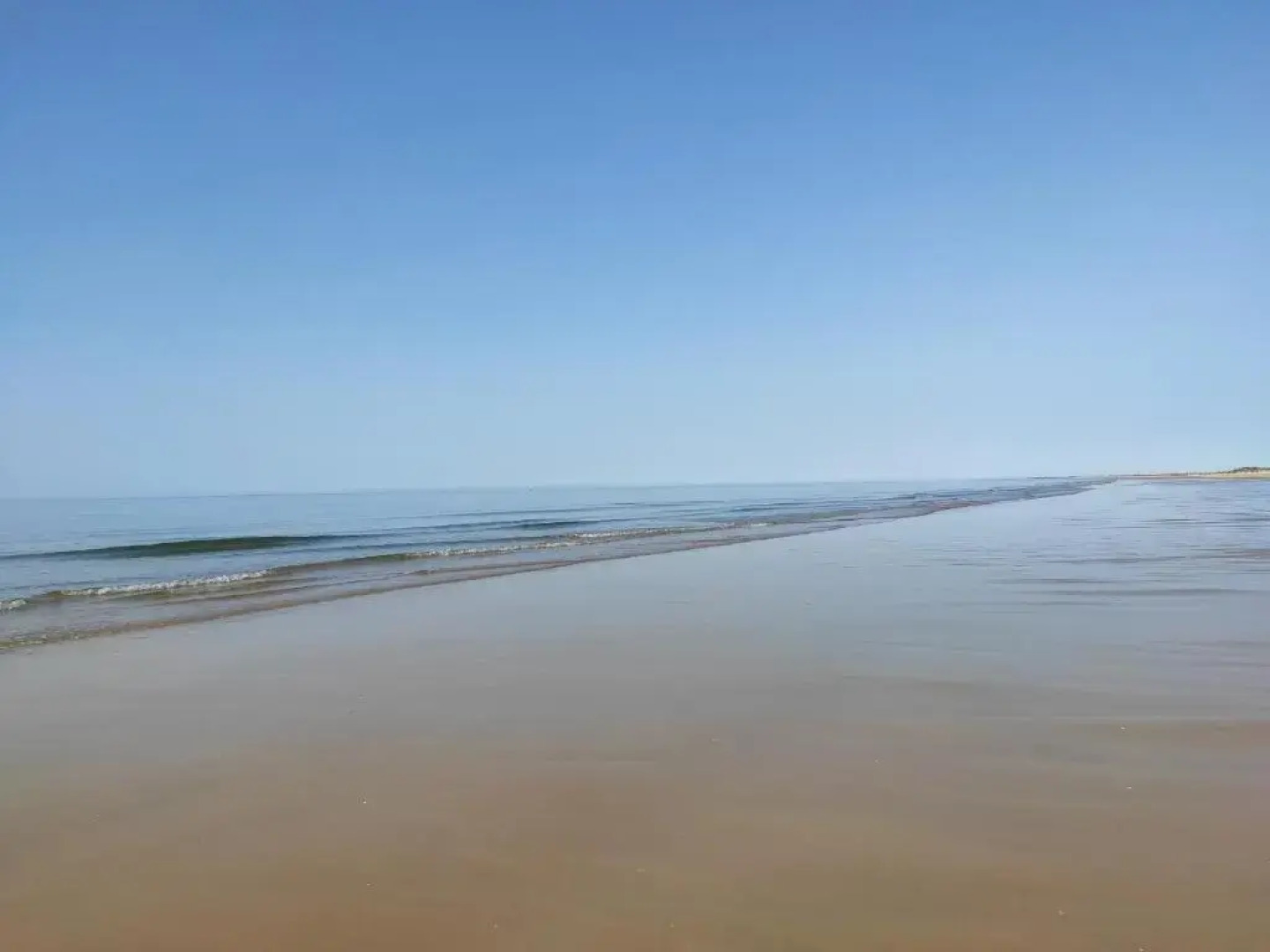 Numar Residence J -Manta Rota