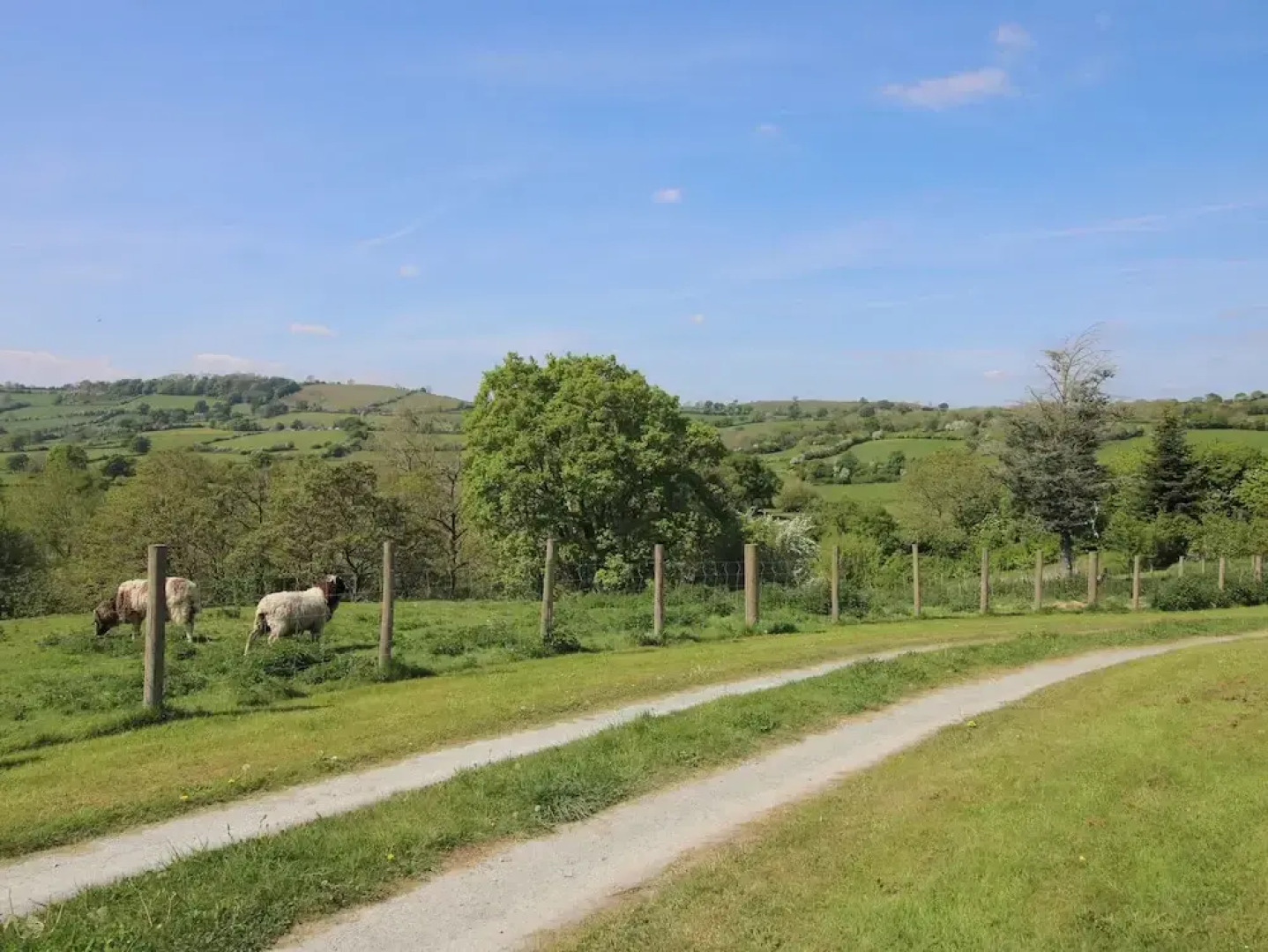 The Old Beams at Pont y Forwyn