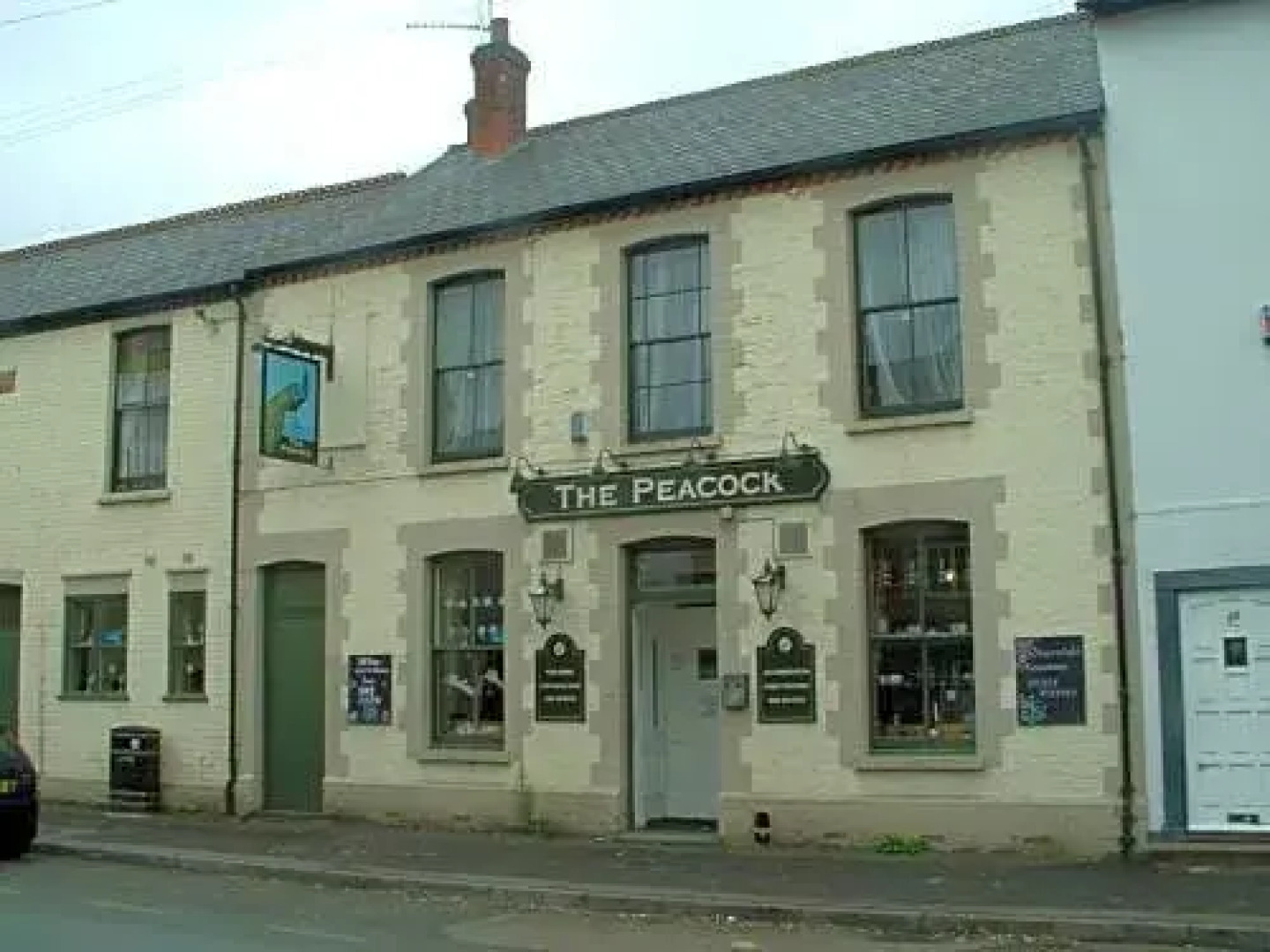 The Peacock