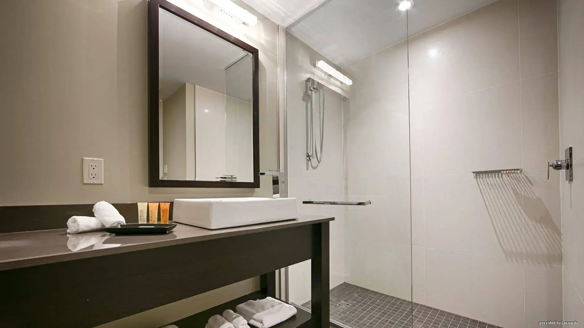 Отель Hotel Levesque