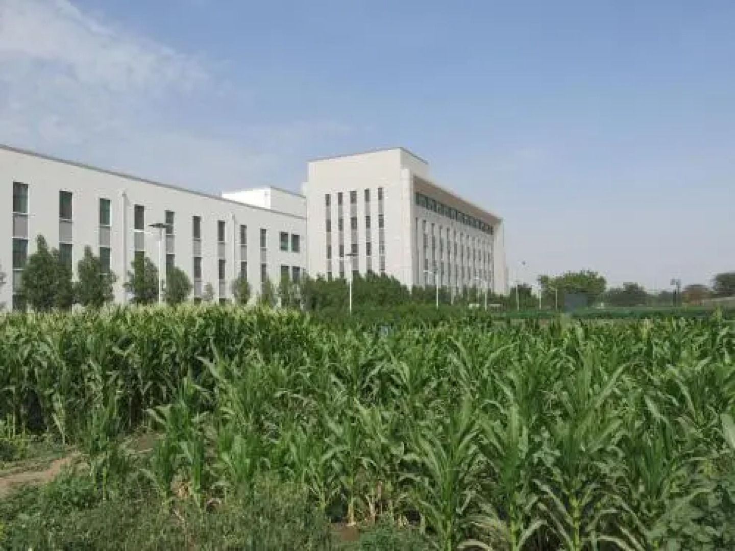 Soluxe Hotel N'Djamena Tchad