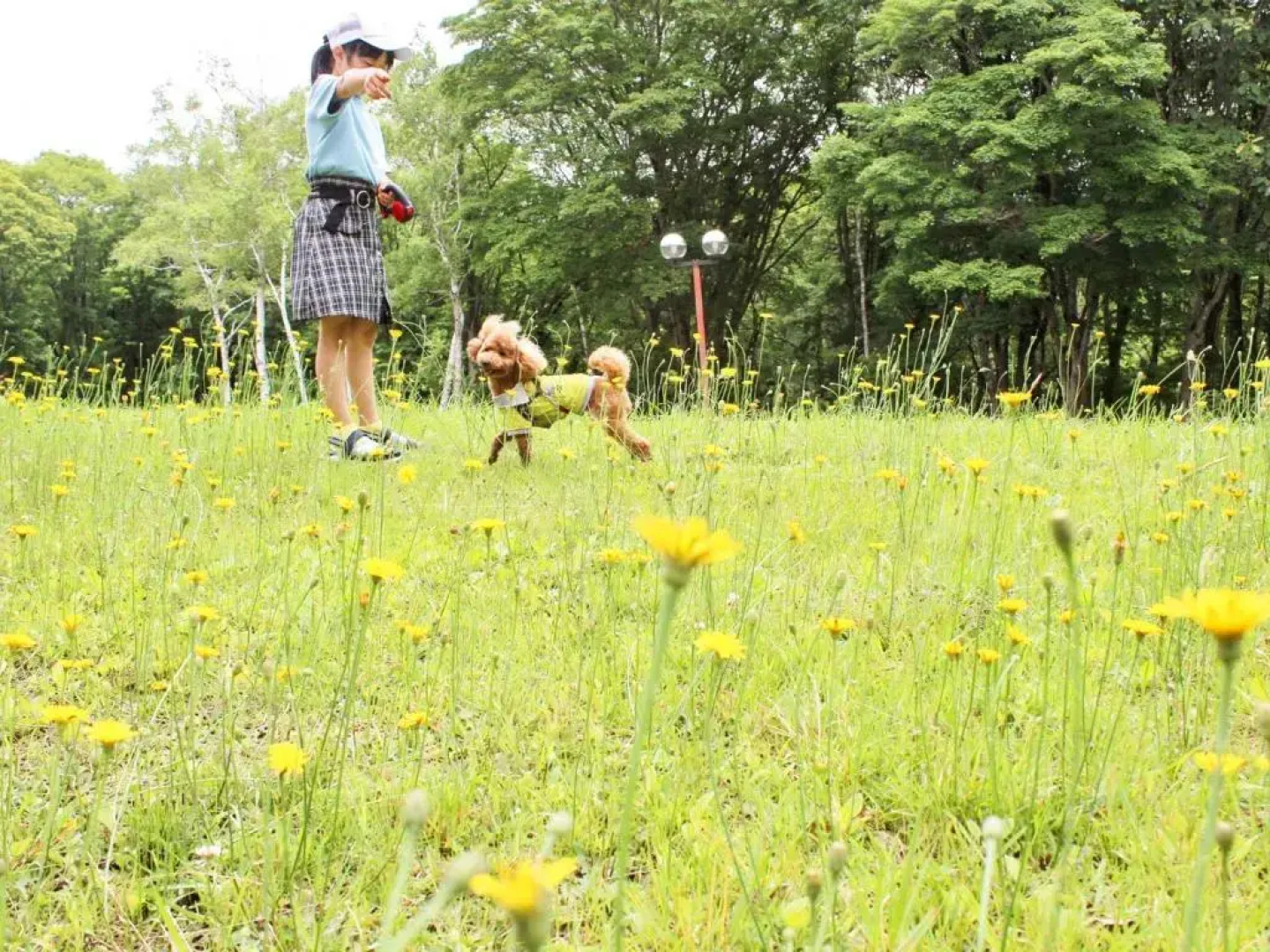 Kurohime Kogen Hotel