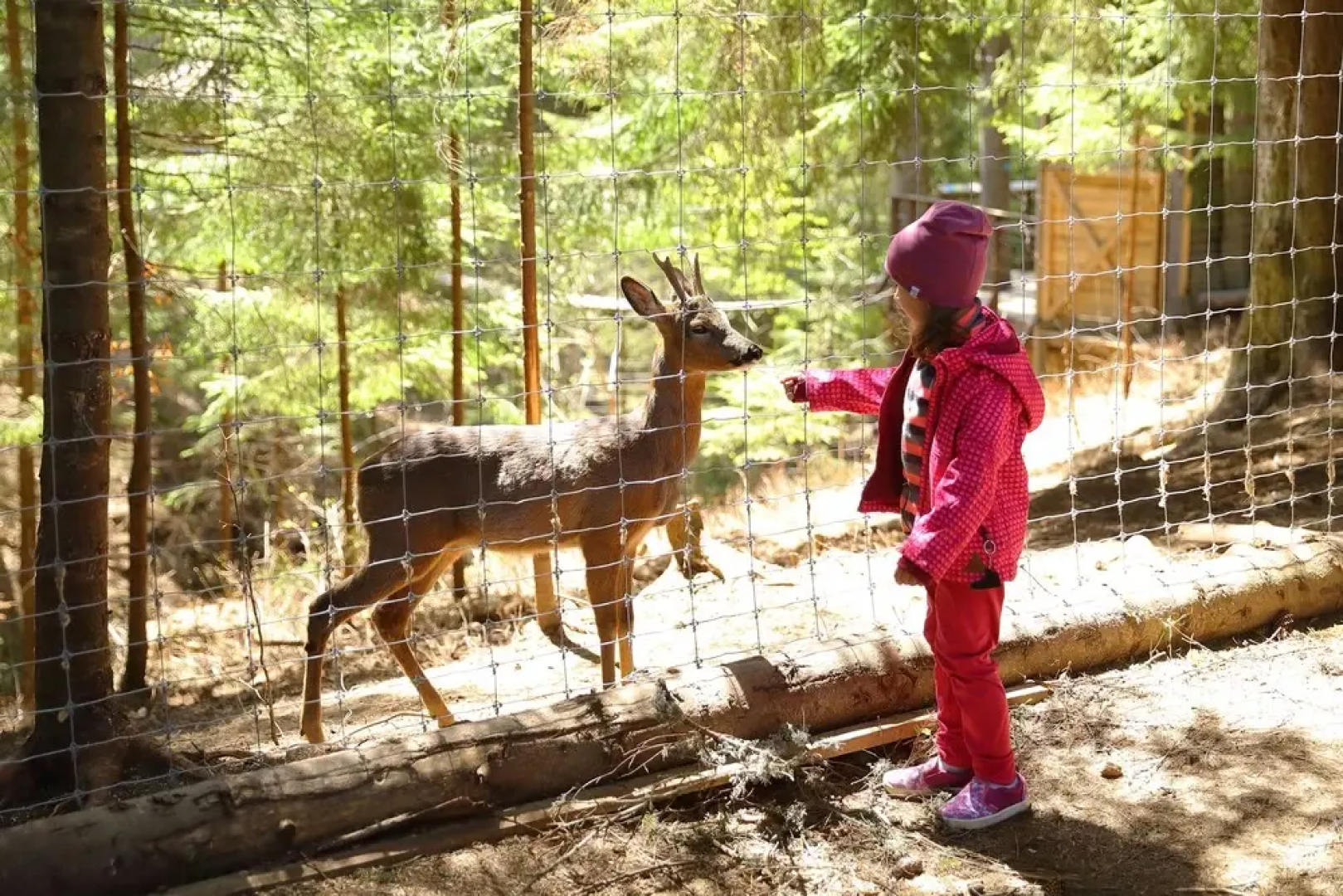 Отель «Буковель»