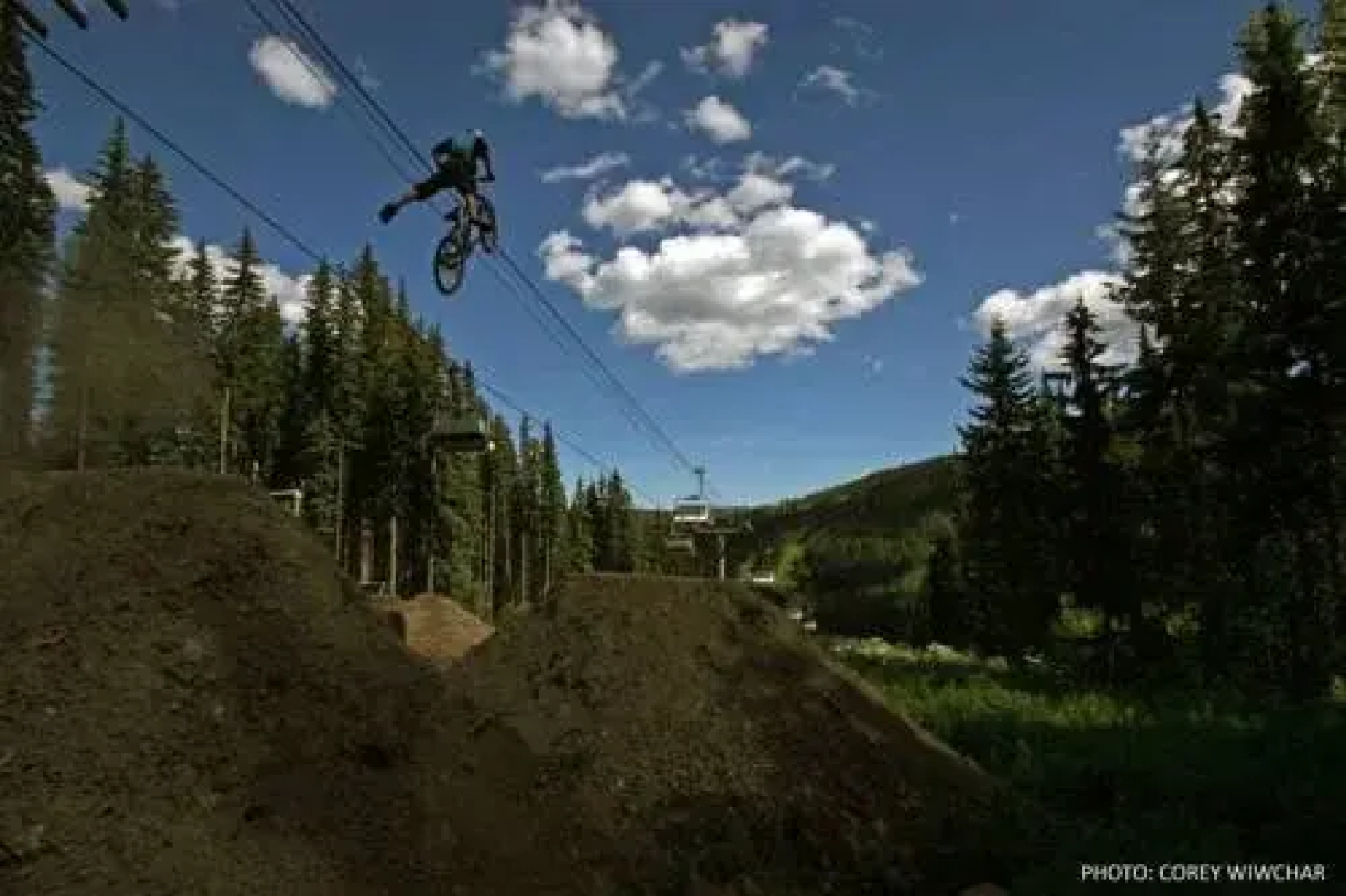 Woodhaven by Bear Country