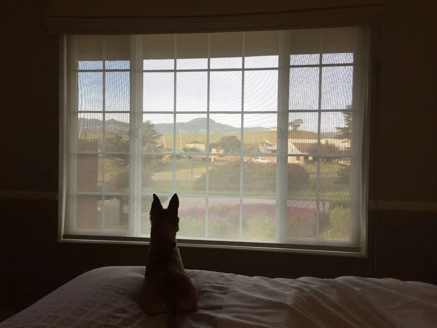 The Morgan San Simeon - Cambria by Hearst Castle