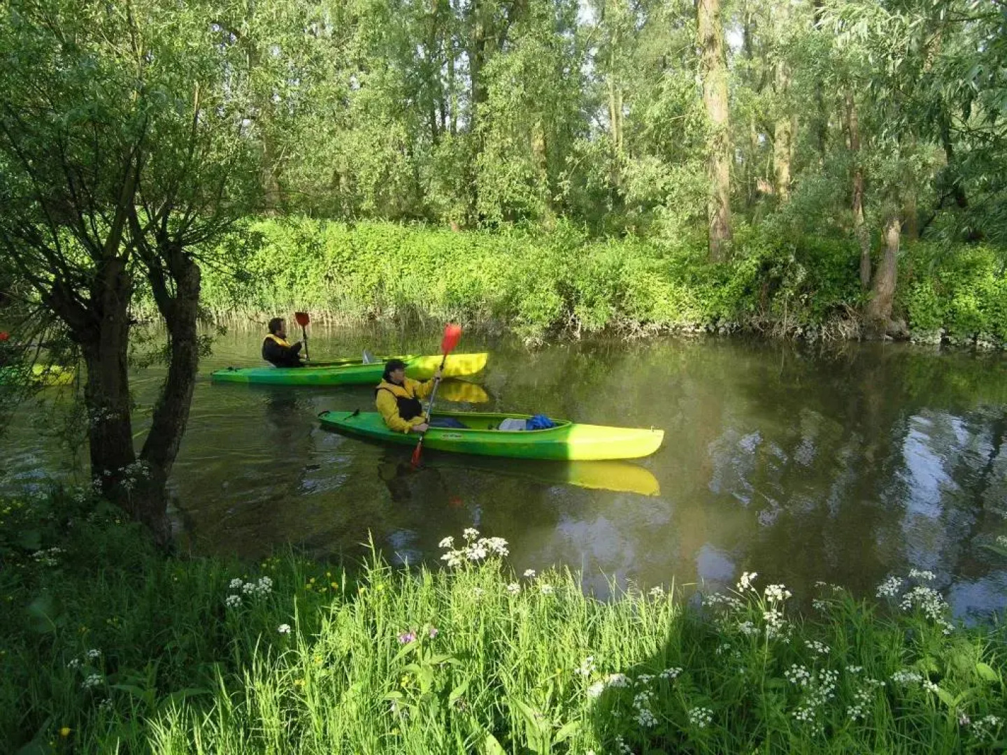 Stayokay Dordrecht - Nationaal Park De Biesbosch Hostel