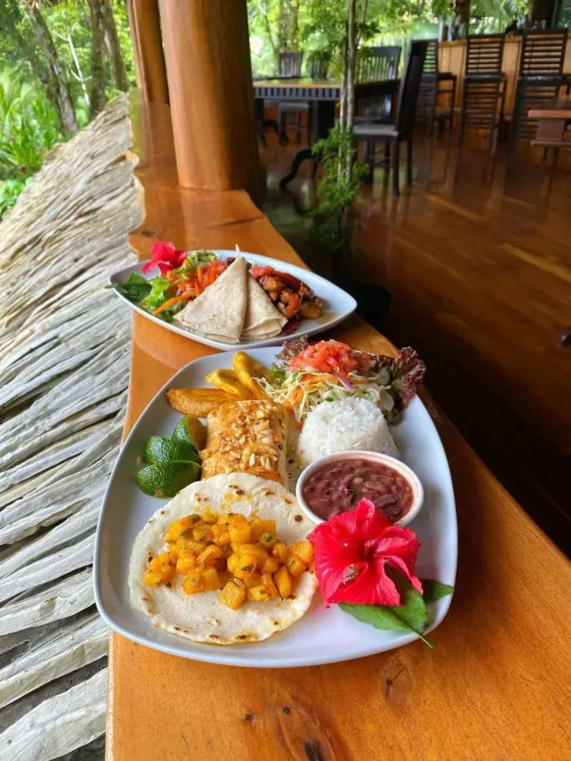 Copa De Arbol Beach & Rainforest Resort