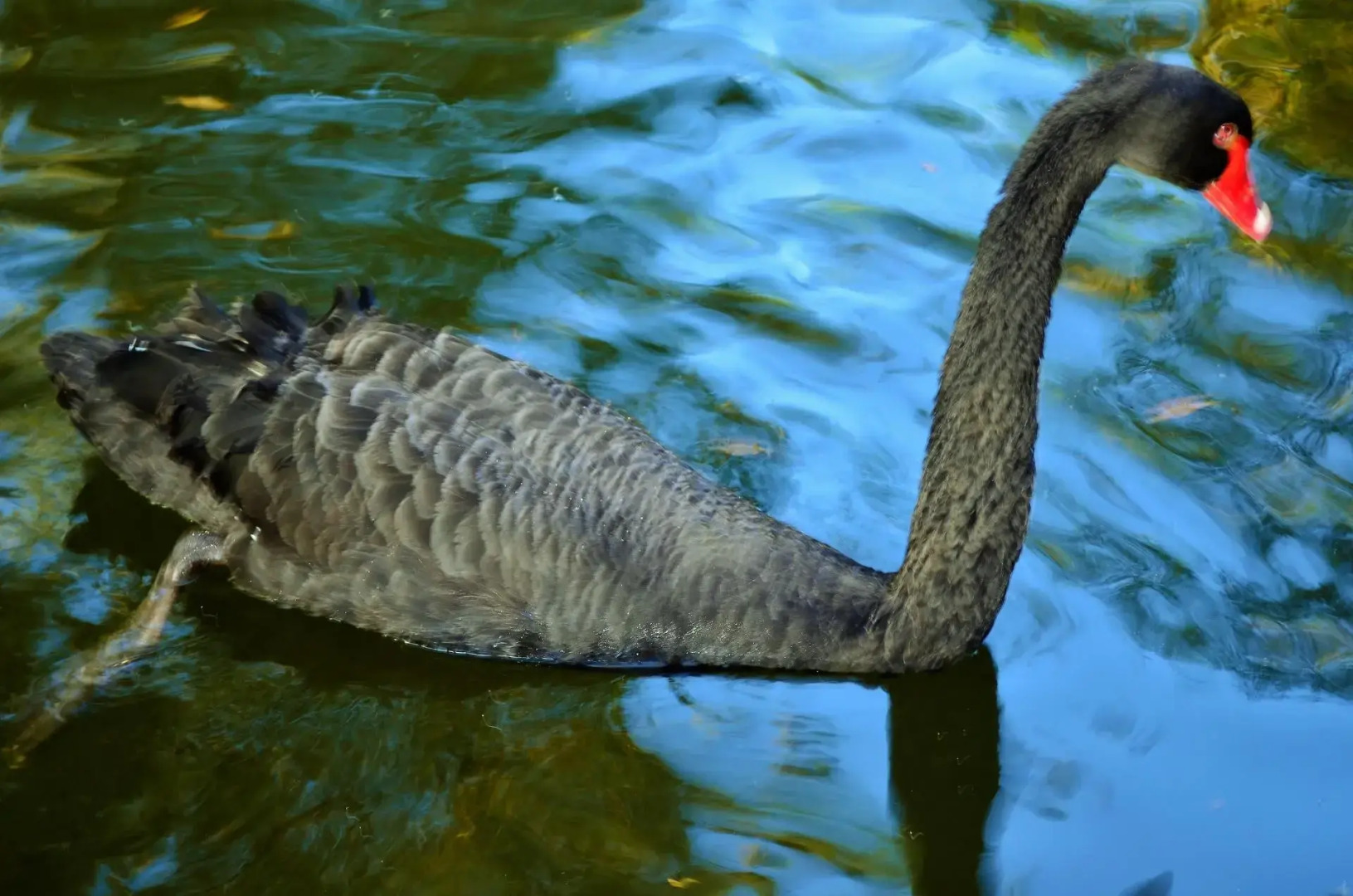 Pousada Toca da Coruja