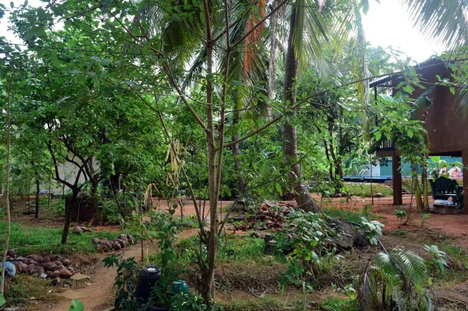 Sun and Green Eco Lodge
