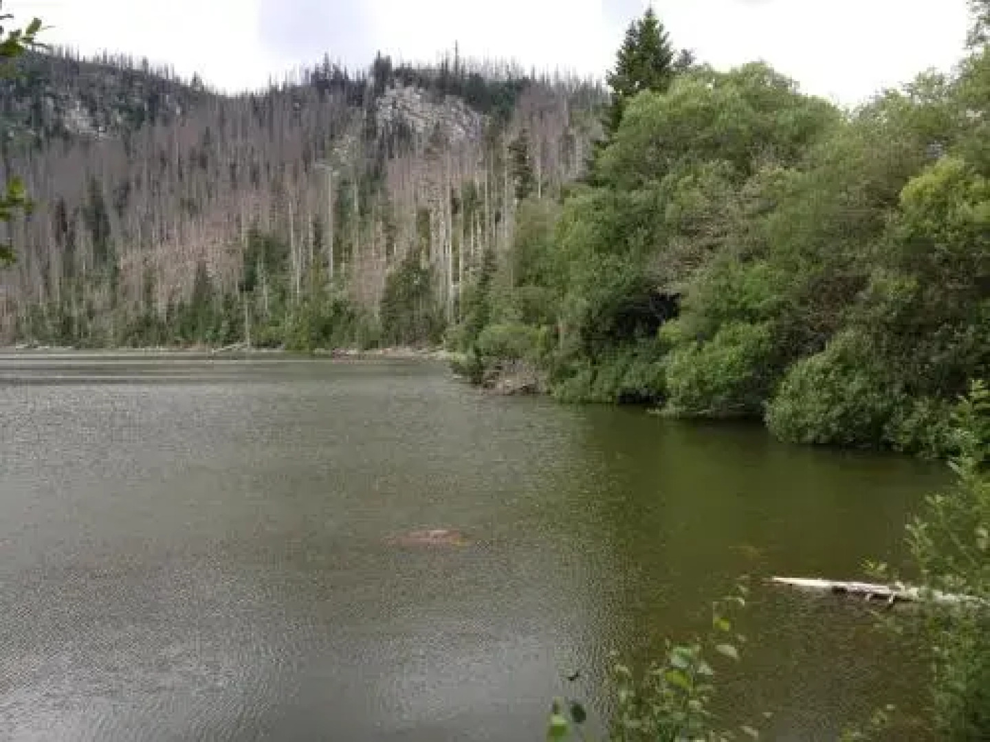 Apartman Cerna V Posumavi