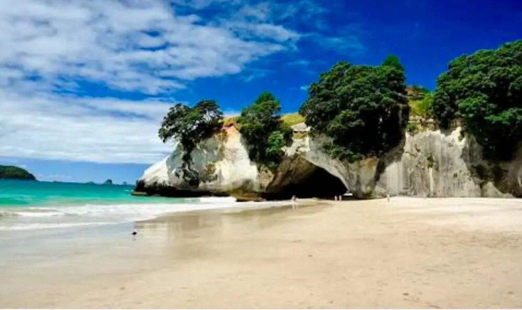 Pacific Harbour Villas