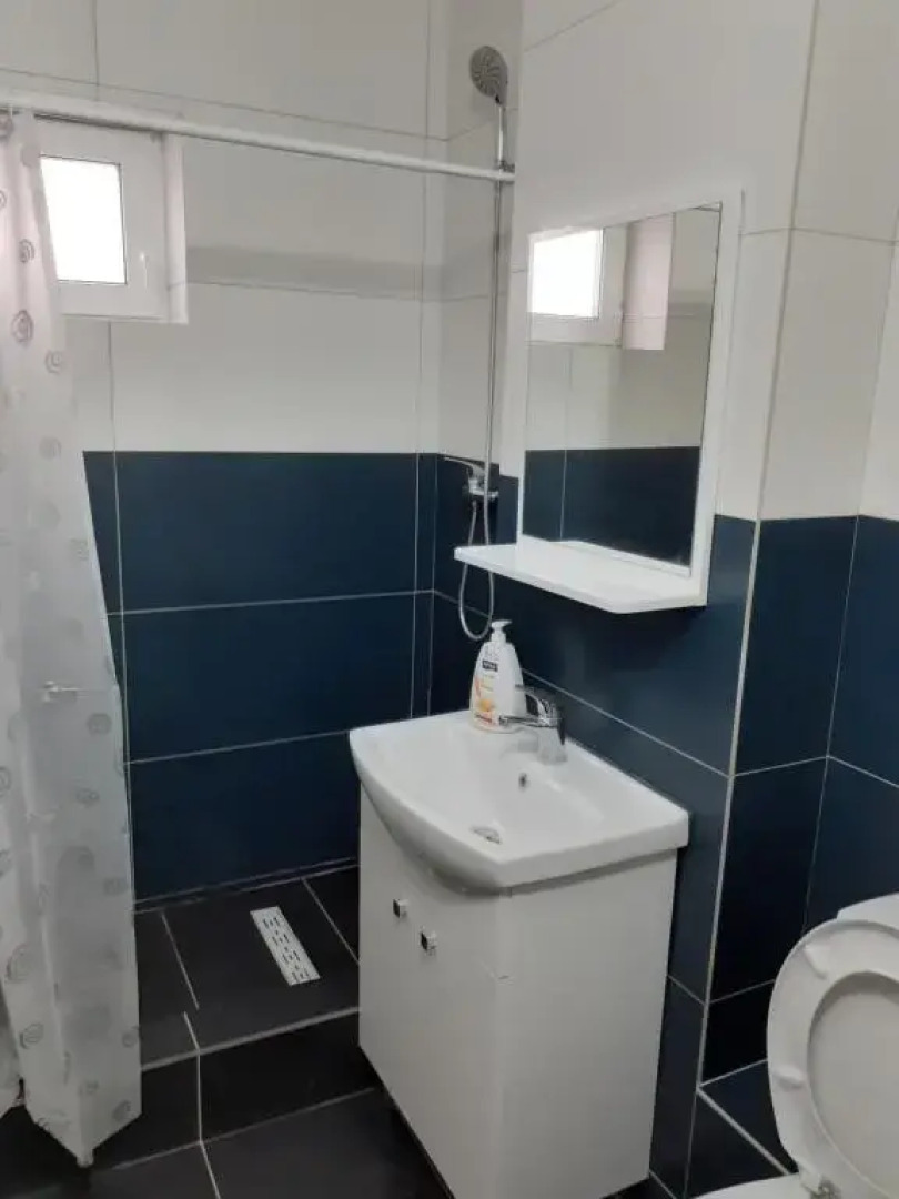 Apartament confortabil în Bucovina