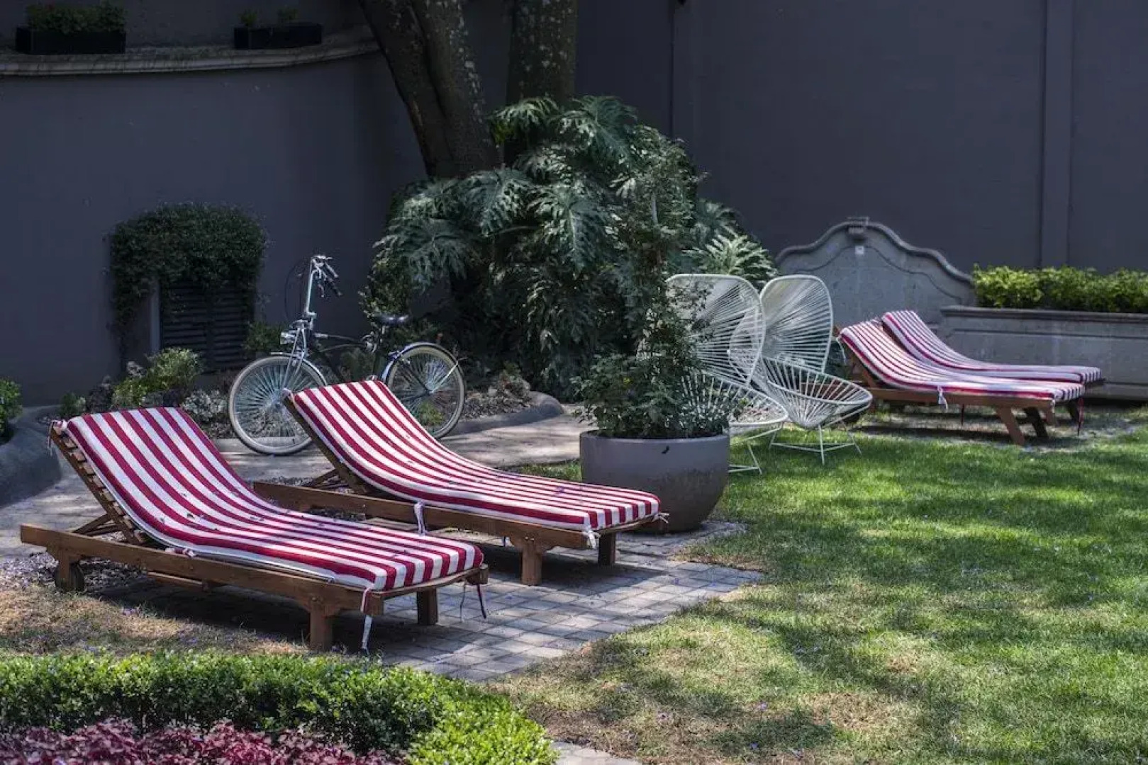 Pug Seal B&B Coyoacan