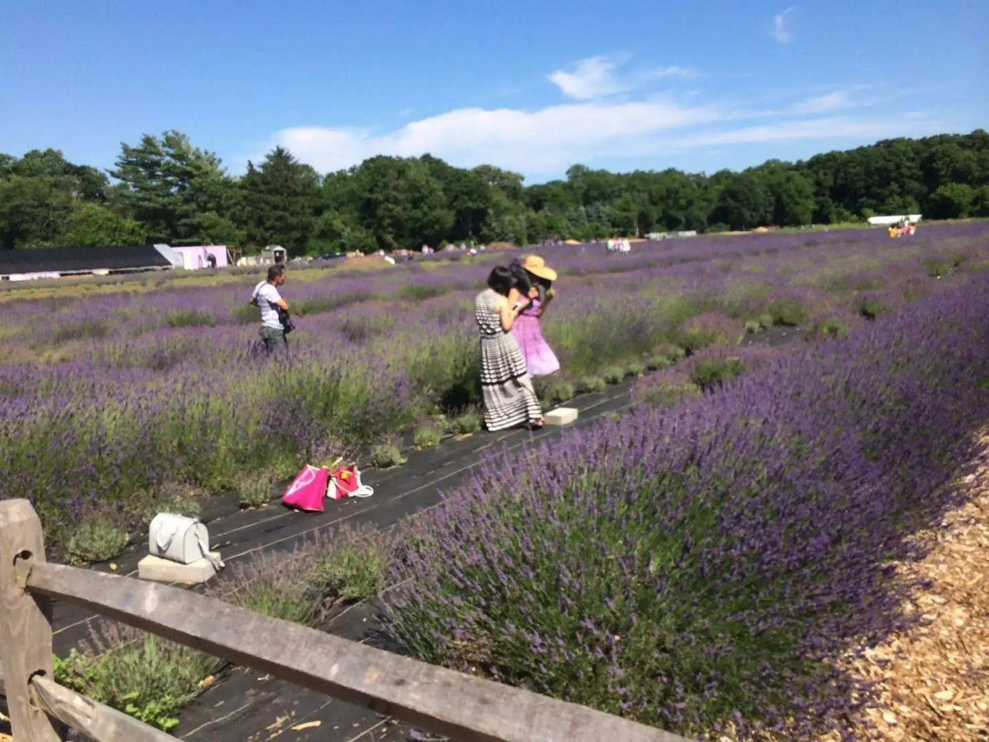 Quintessentials Bed & Breakfast & Spa