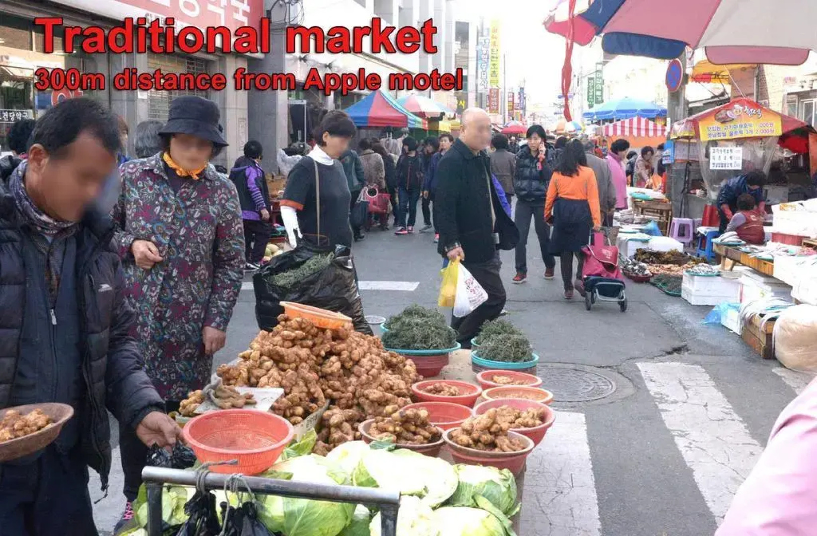 Apple House Mini Hotel