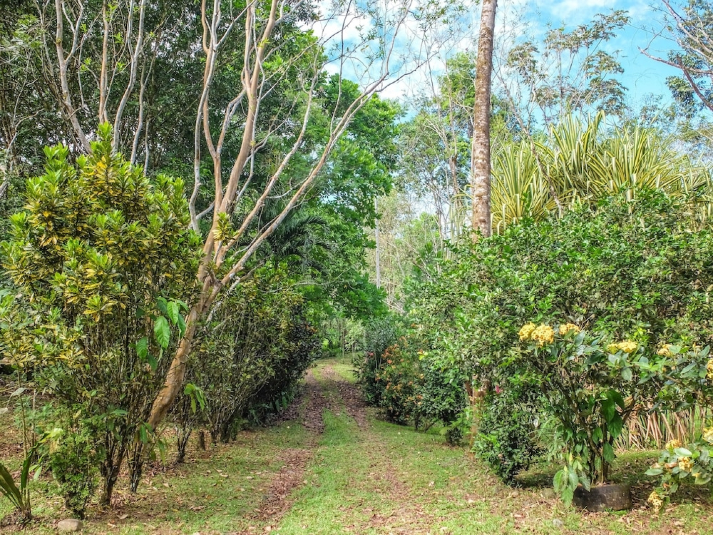 Villa Celeste Katira