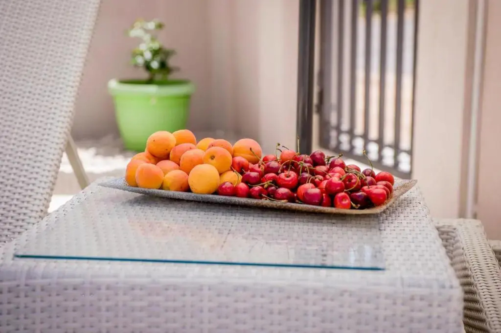 Villa Branka apartments near Dubrovnik with Pool