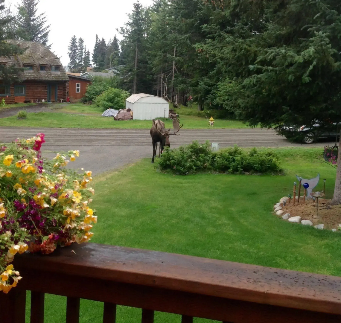 Fisherman's Tales Bed and Breakfast