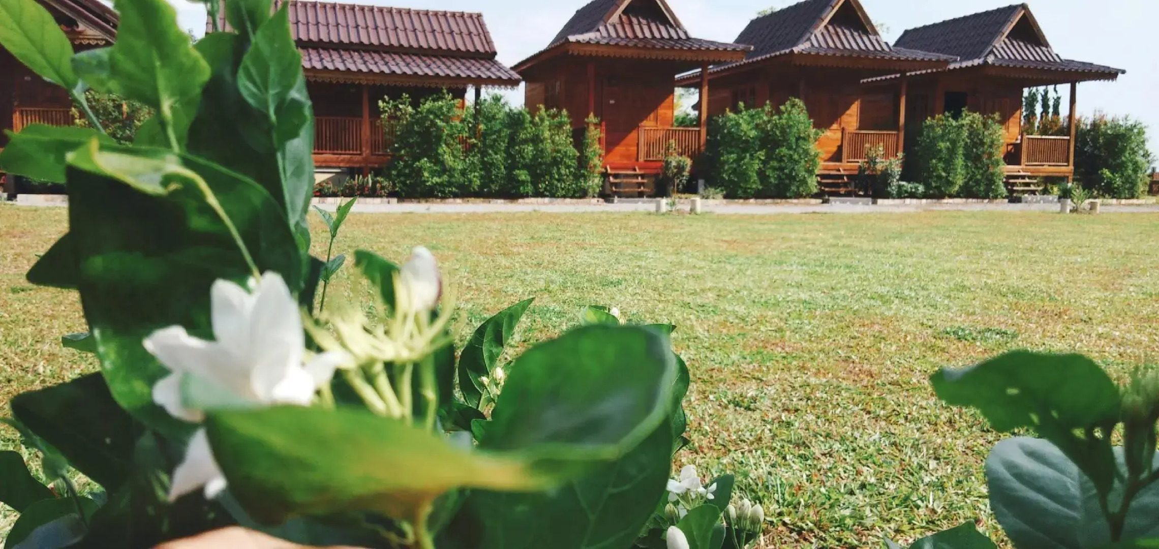 Imsuk Homestay Chiang Rai