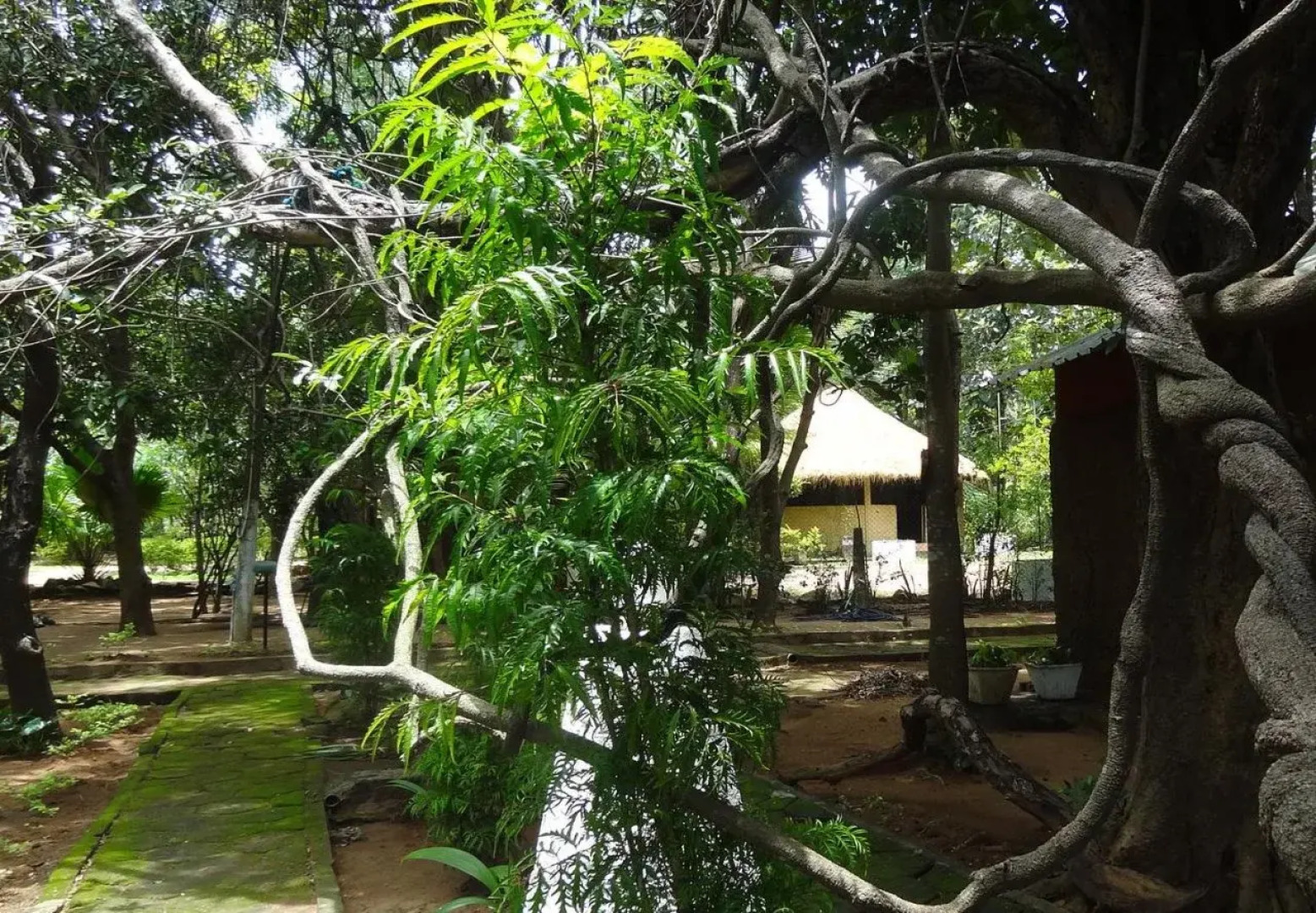 Safari Village Hotel