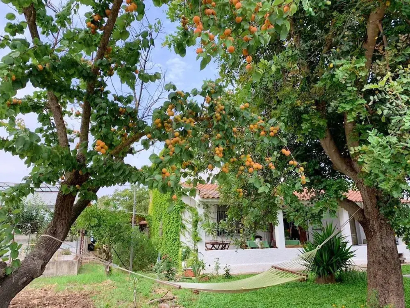 House With one Bedroom in Assemini, With Furnished Garden and Wifi Near the Beach