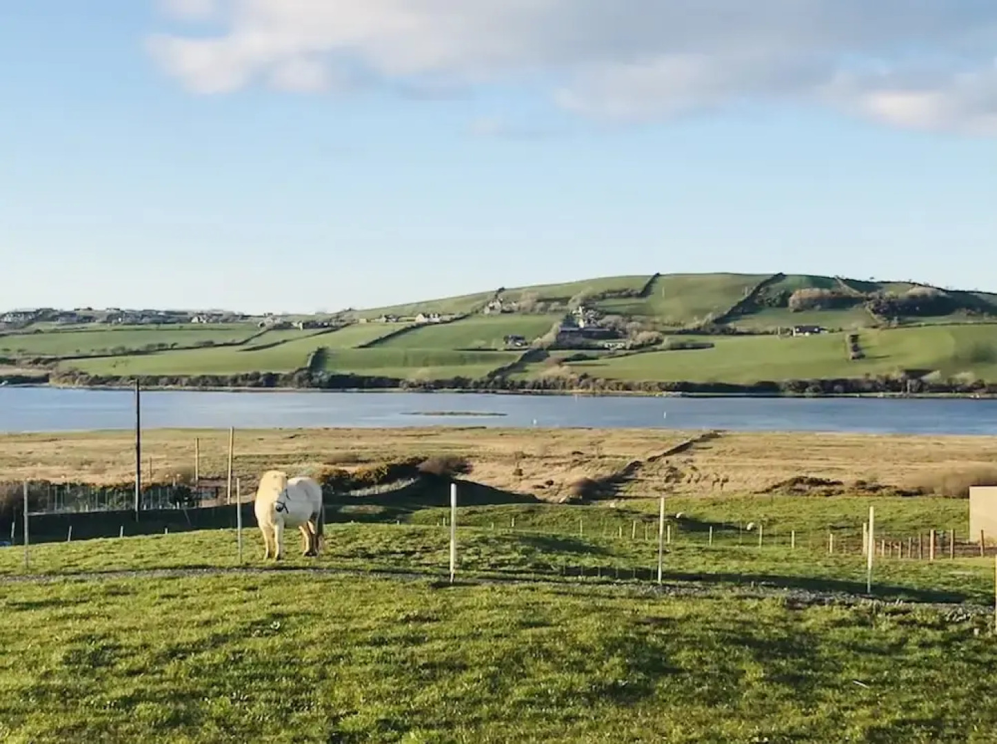 The Snuggly Sheep Shepherd Hut Campview Farm Stay