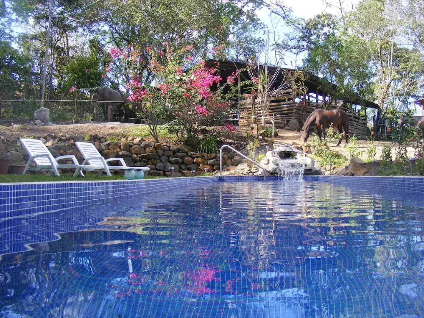 Establo San Rafael B&B