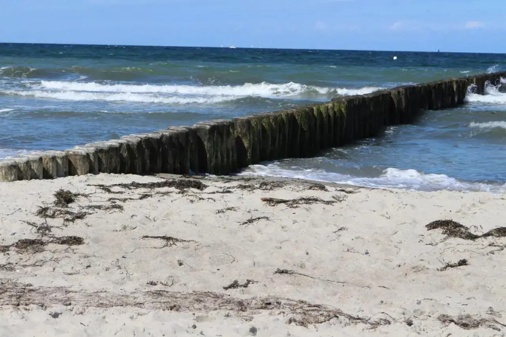 Ferienwohnung am Gespensterwald