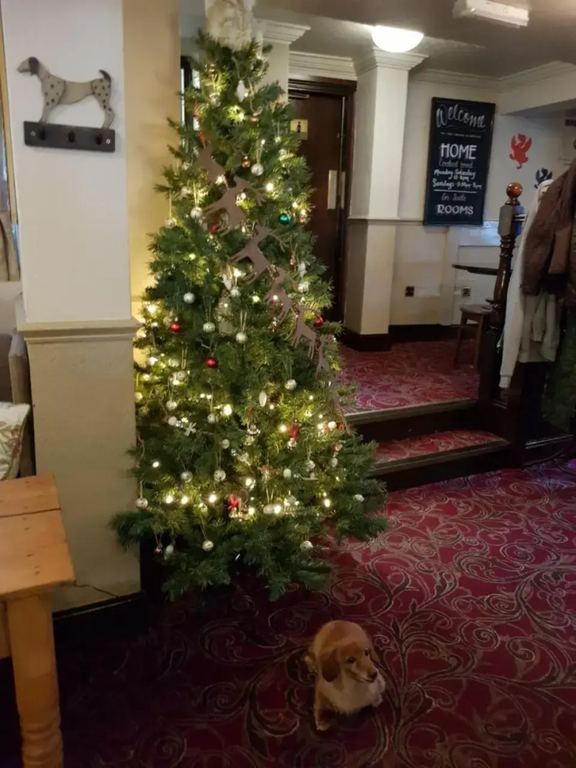 George and Dragon Ashbourne