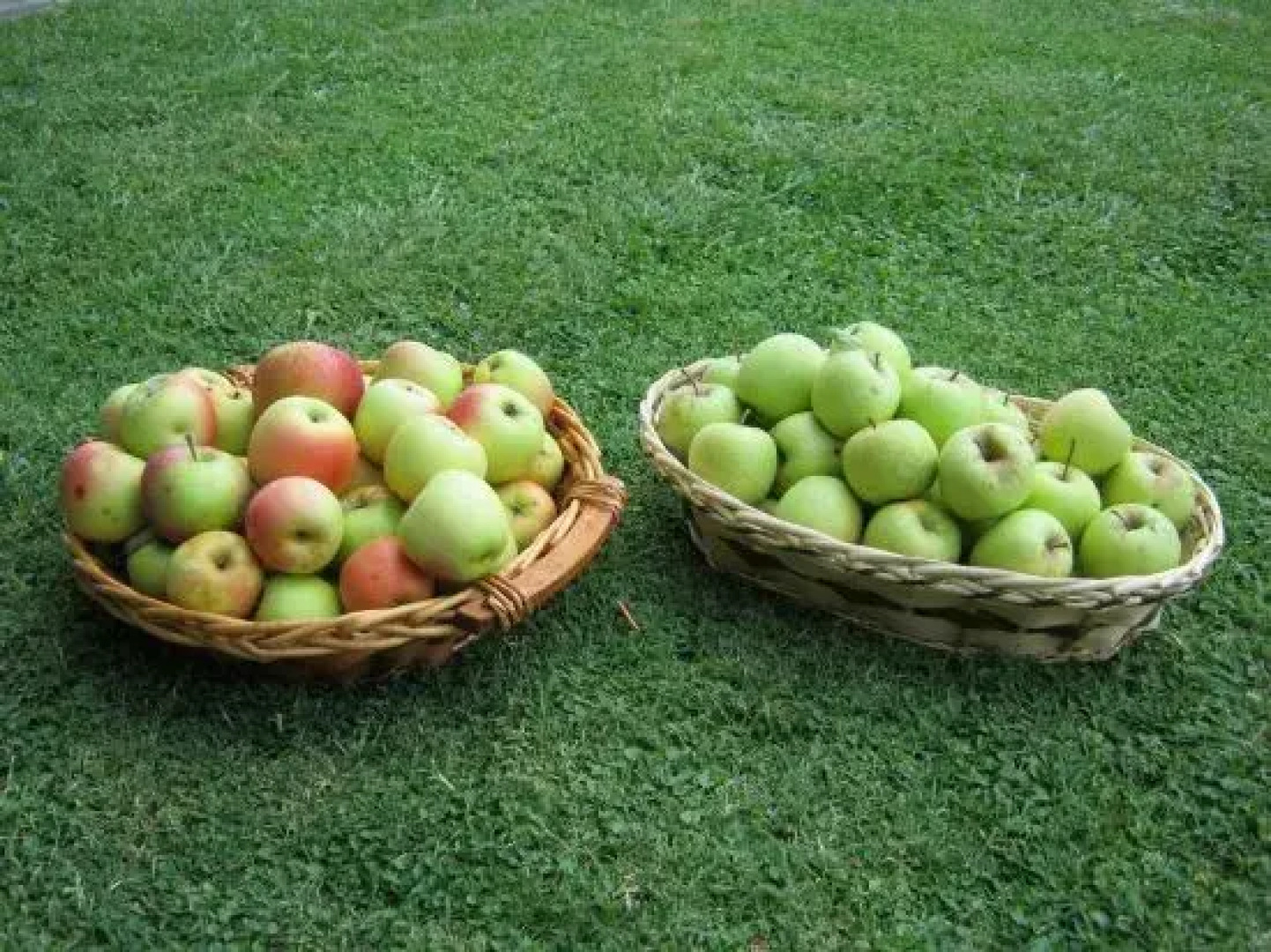 La Casa delle Rondini