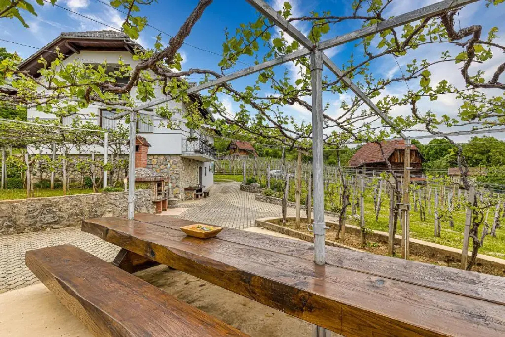 Vineyard Homestead Vrtin