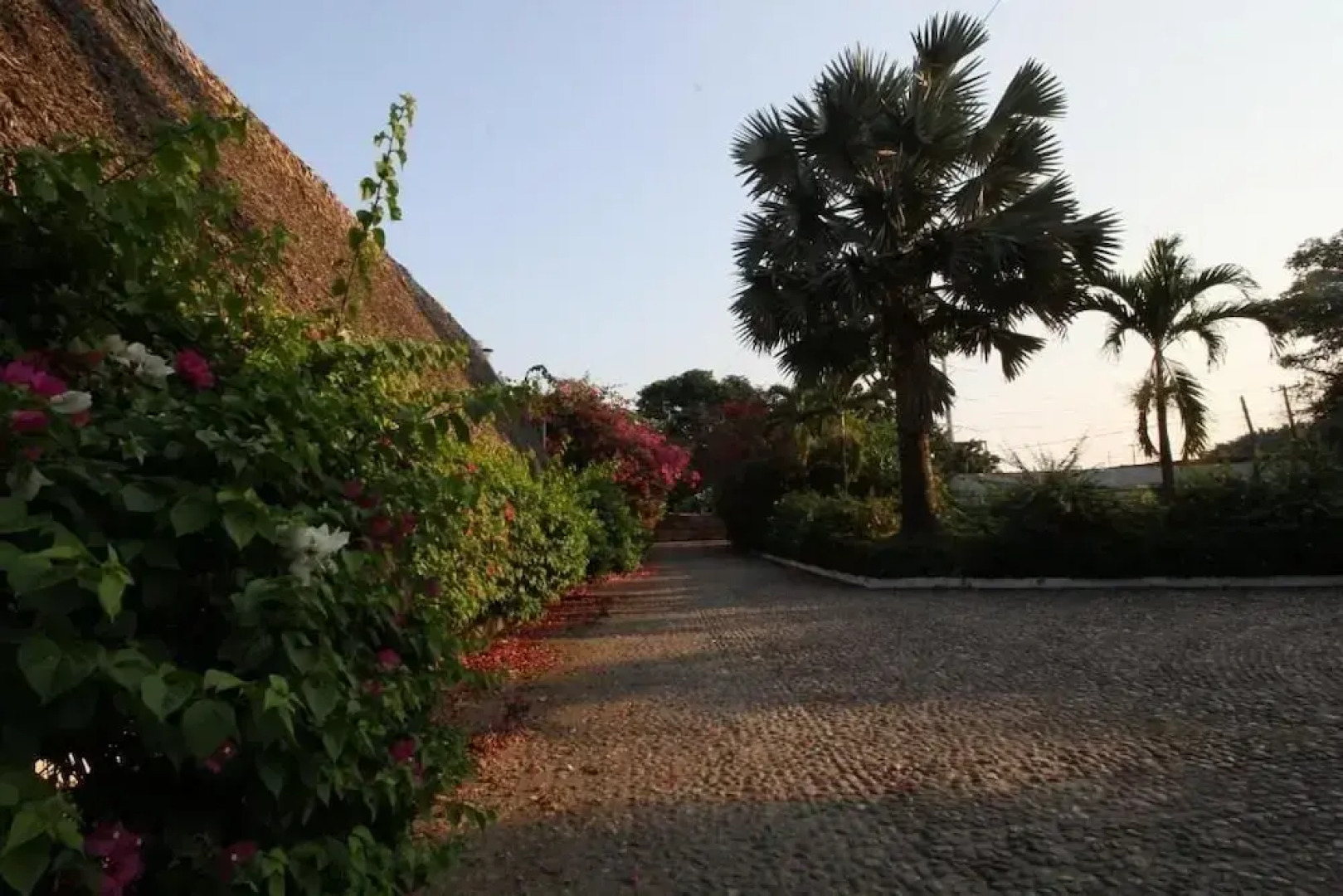 Hotel Villa Blanca Suites