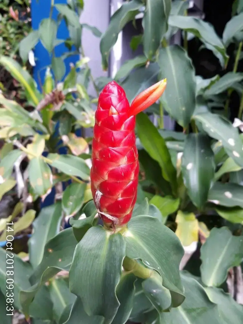 Porterhouse Beach Hotel