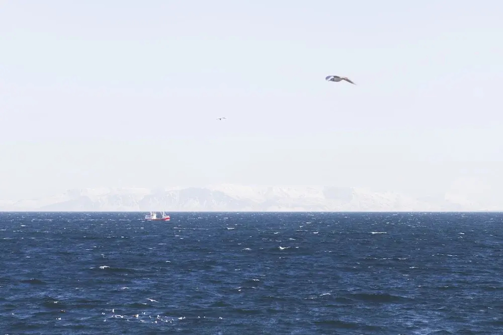 Raven's Bed and Breakfast