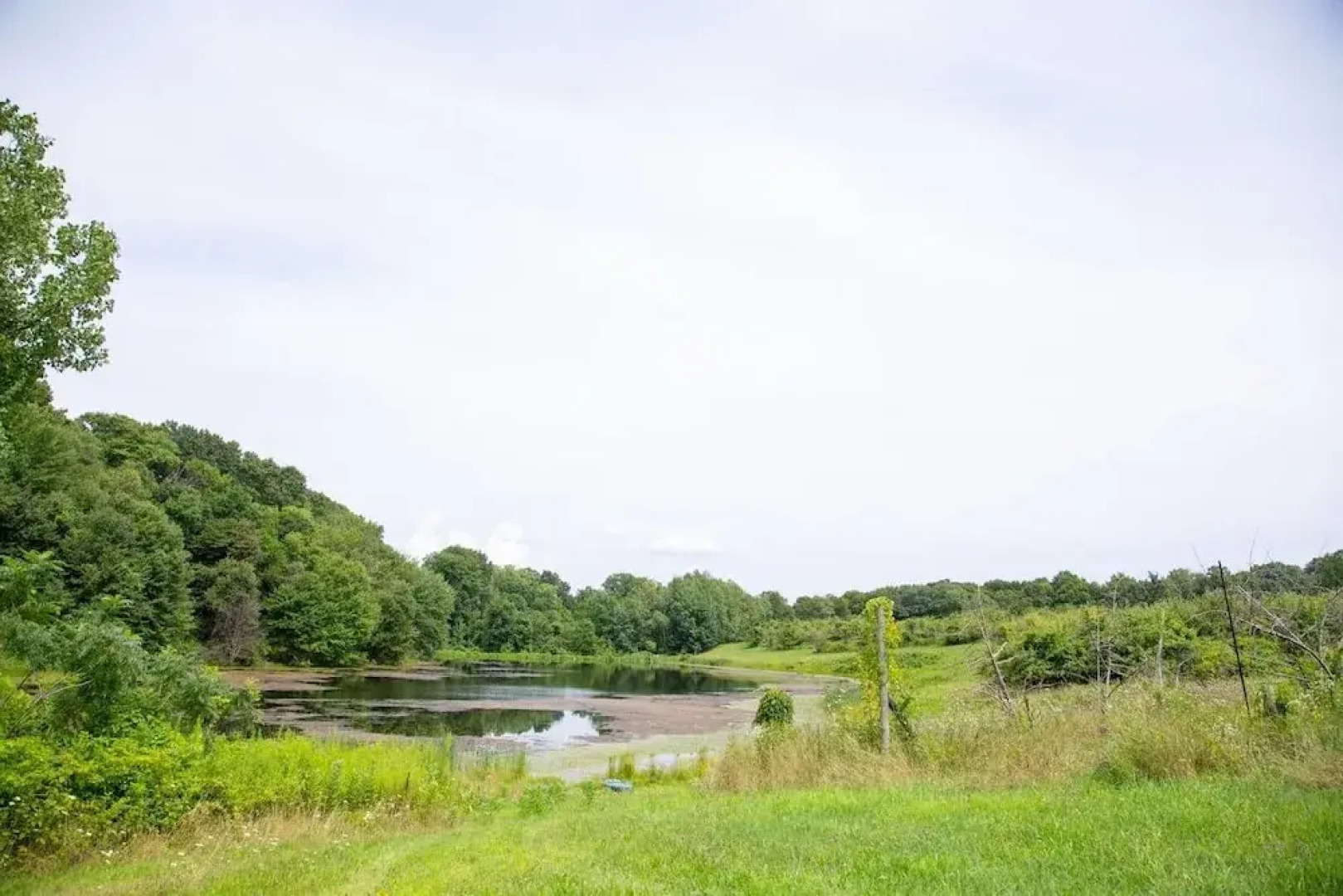Tentrr Signature - Orchard Tent