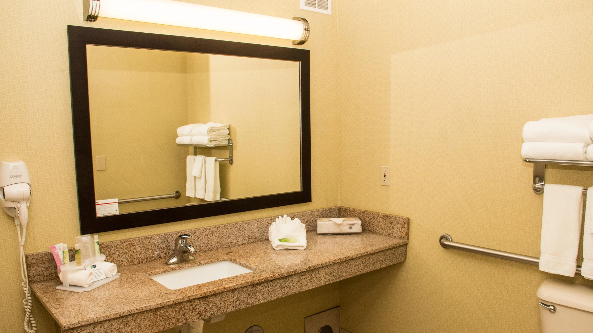 Holiday Inn Express Hotel & Suites Saginaw by IHG