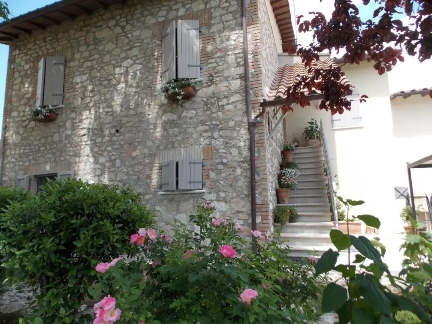 Bed And Breakfast Nonna Rosa