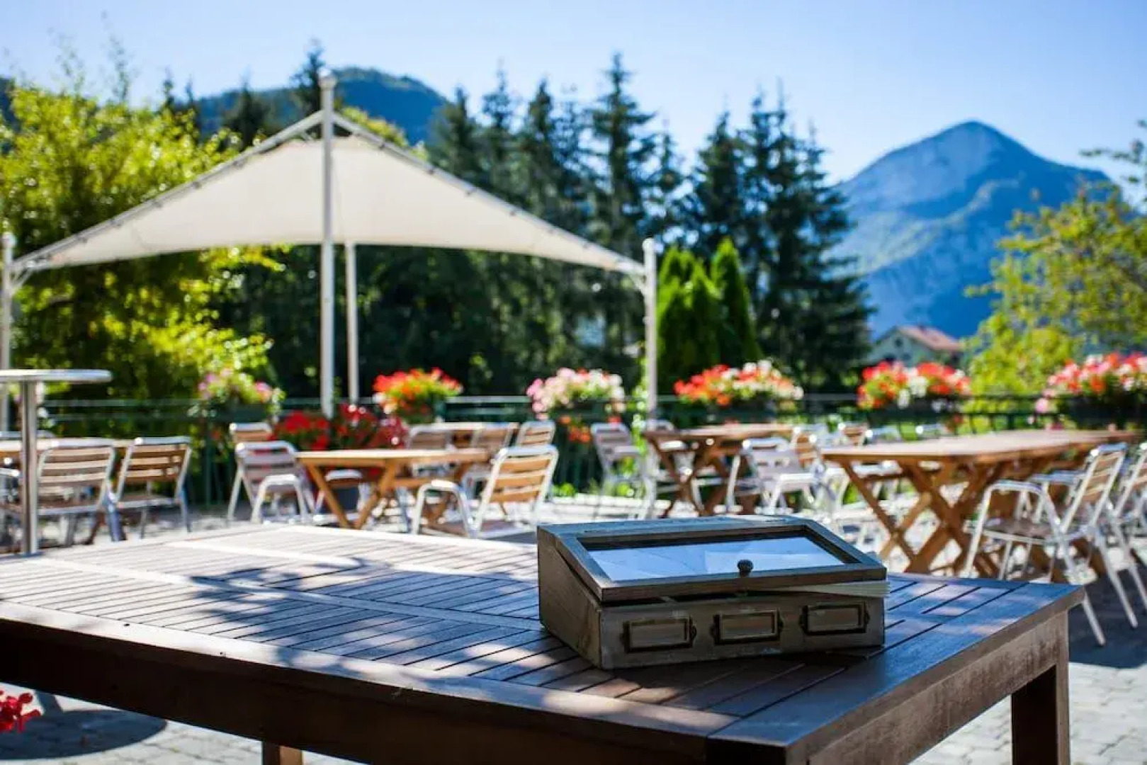 Hôtel le Marronnier