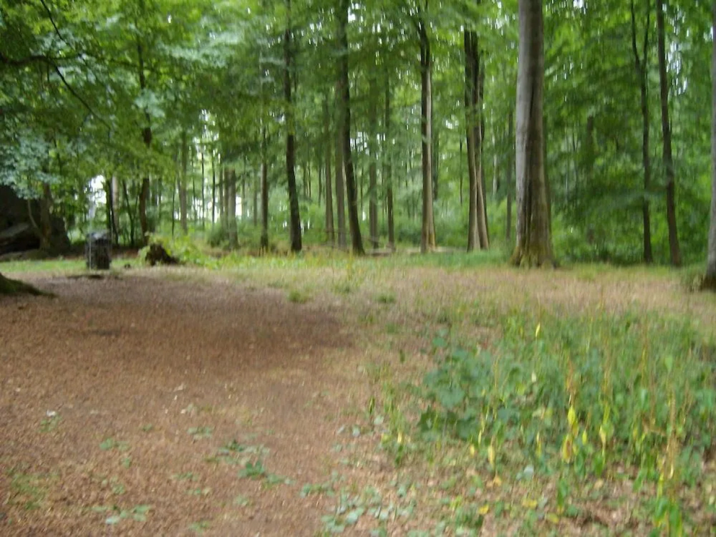 Forellenhof "Das BIO Landhaus"