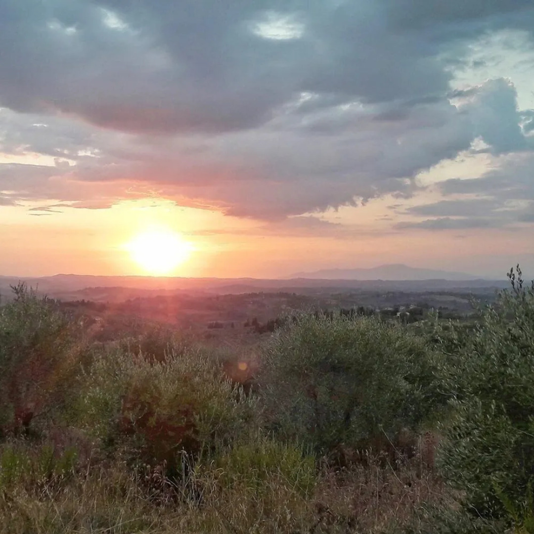Casa Vacanze Podere Mezzastrada