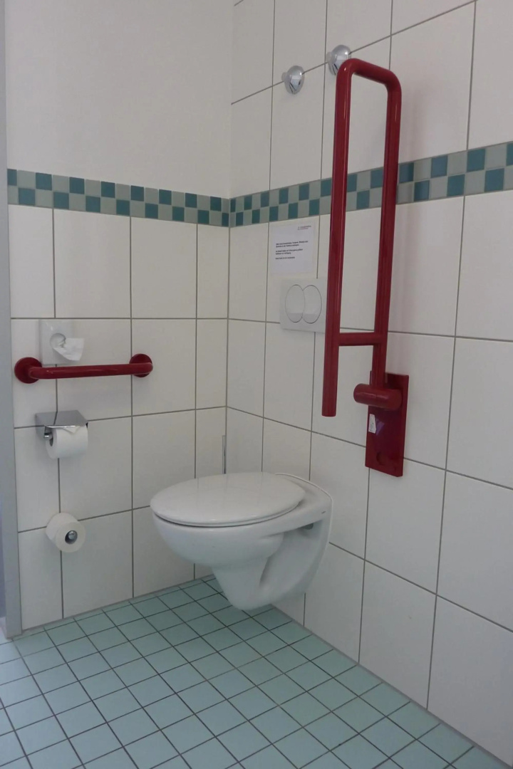 GesundheitsHotel Das Bad Peterstal