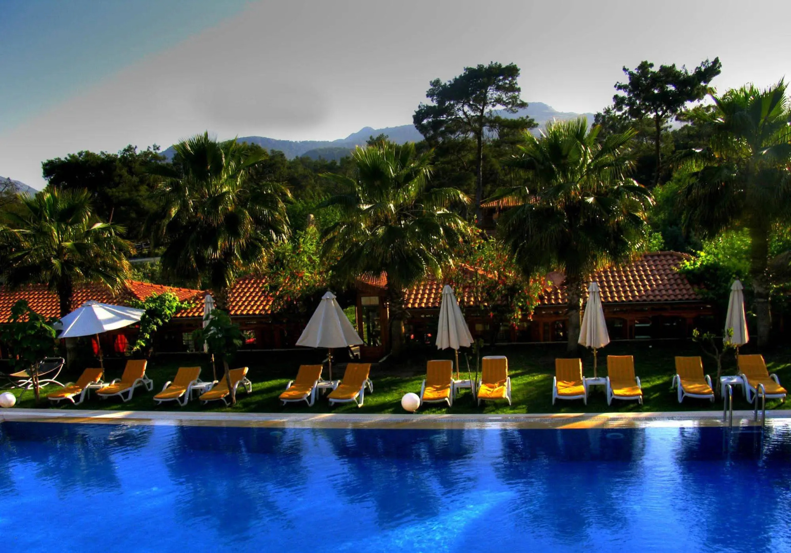 Olympos Tanrılar Kulübü