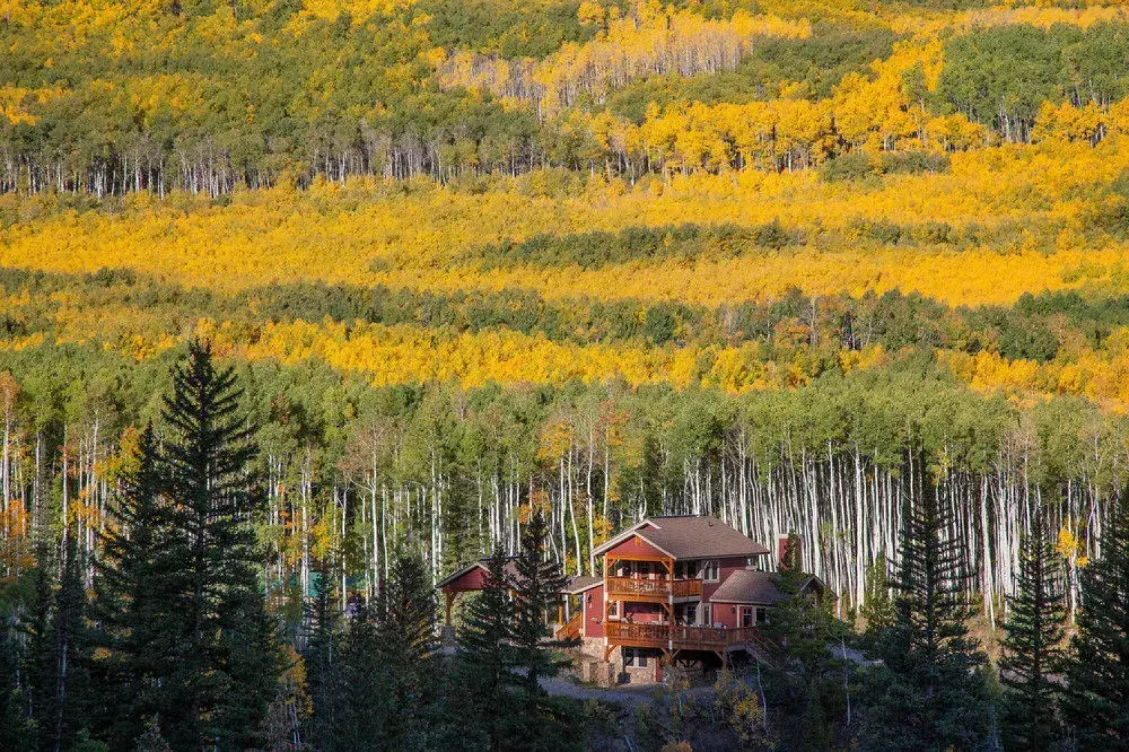 Wild Skies Cabin Rentals