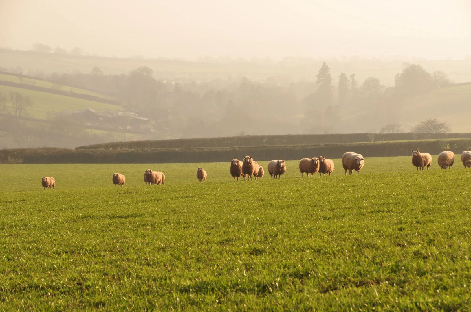Brambles Bed and Breakfast
