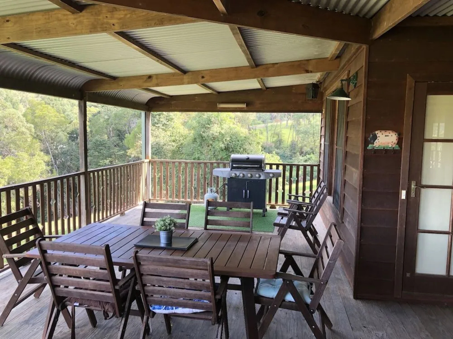 Blackwattle at Barrington Tops