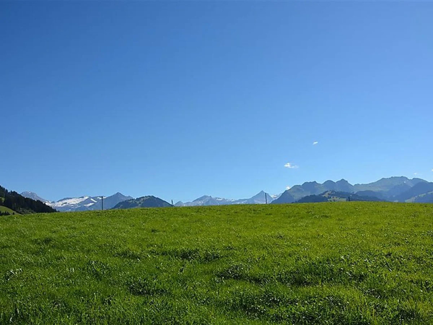 Henry (Hochparterre)